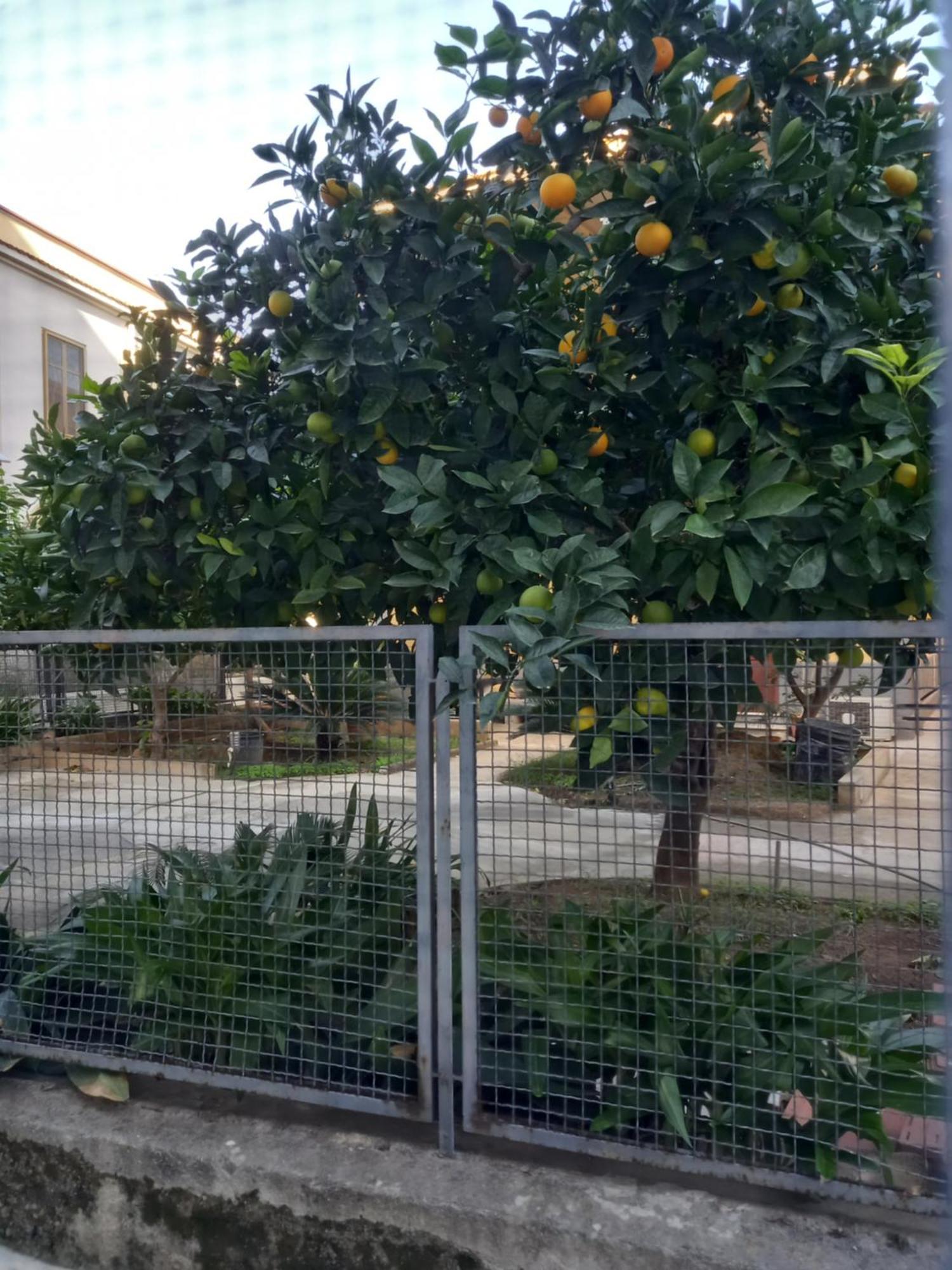 Momenti E Monumenti Villa Palermo Luaran gambar